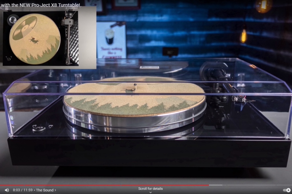 X8 Evo Vinyl Attack 02.jpg