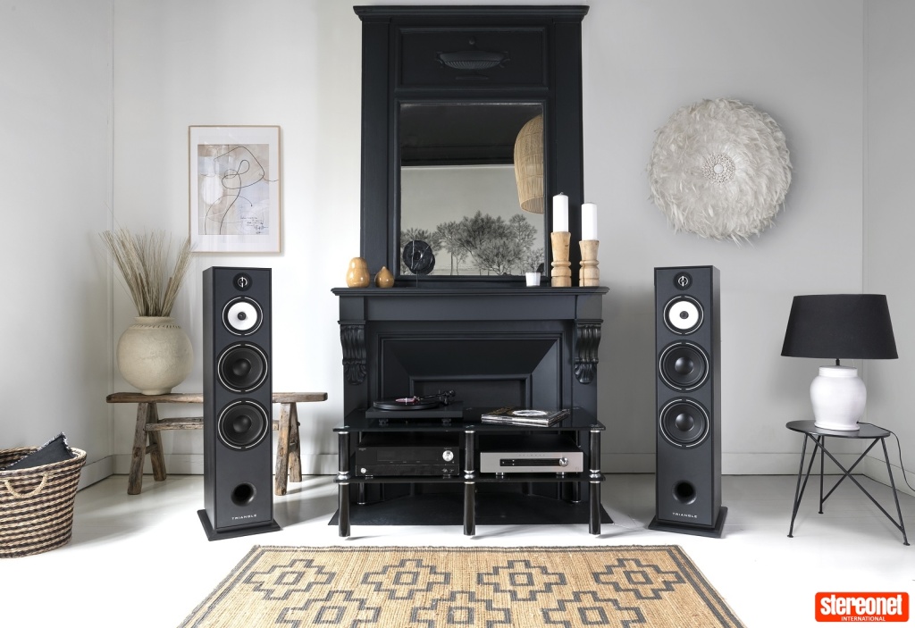 04 Triangle Borea BR10 Stereonet.jpg