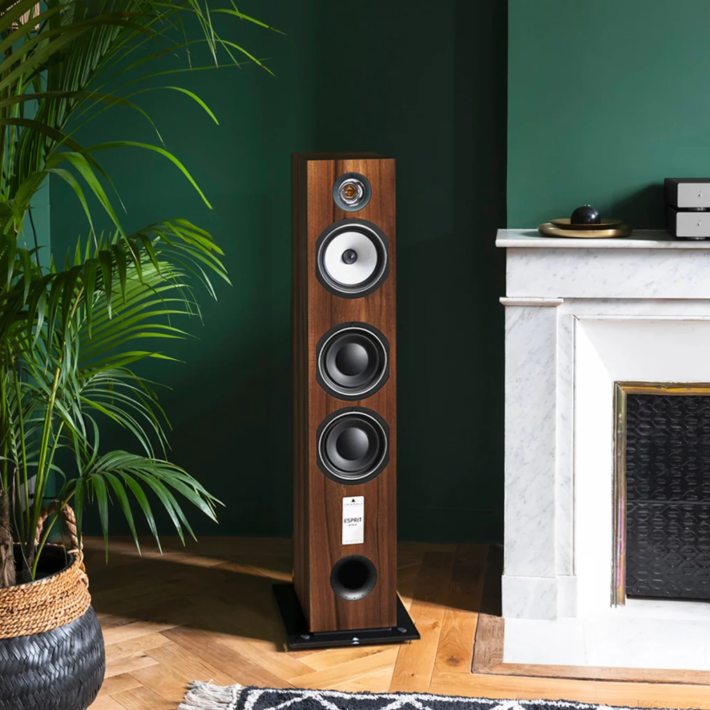 05 Triangle Esprit Antal EZ.jpg