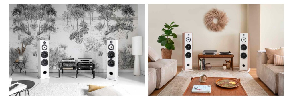 04 Triangle Borea BR10 HiFi Pig.jpg