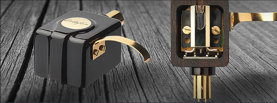 SPU Wood A front&back.jpg