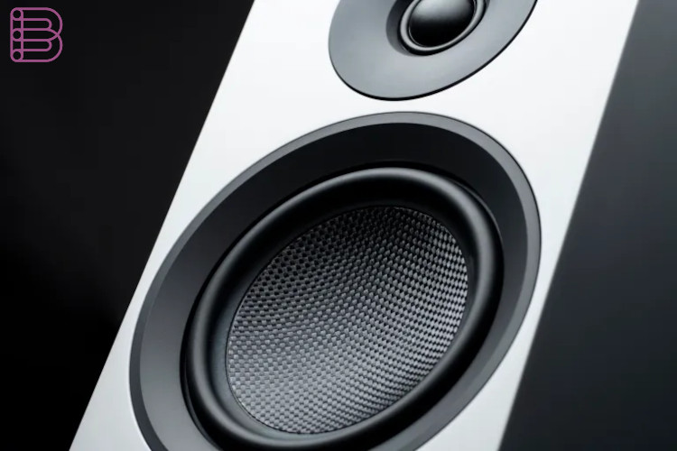 Pro-Ject Speaker Box 10 E Carbon Pro-Ject Speaker Box 10 E Carbon