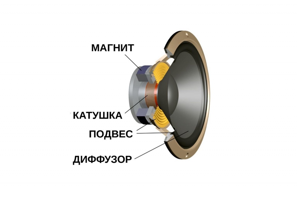 Динамик схема устройства