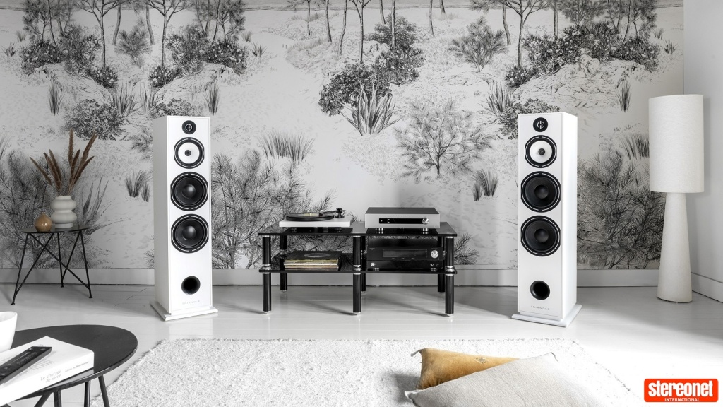 01 Triangle Borea BR10 Stereonet (main).jpg