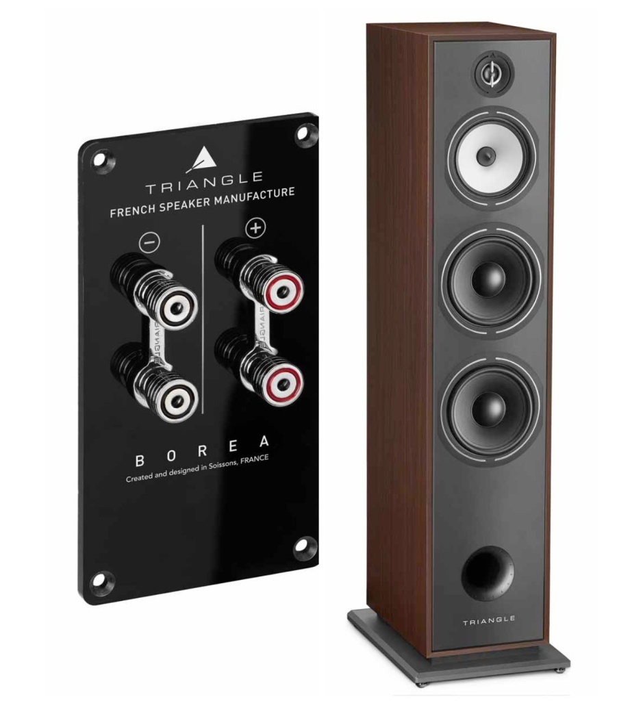 03 Triangle Borea BR10 HiFi Pig.jpg